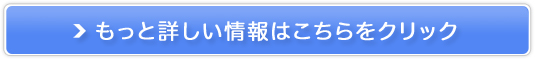 �C���`�@�u���b�N�\�[�v�������̔��T�C�g��